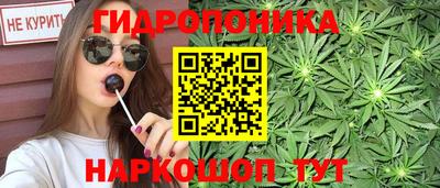 амф Аша